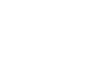 Fondazione Istituto Carlo Vismara